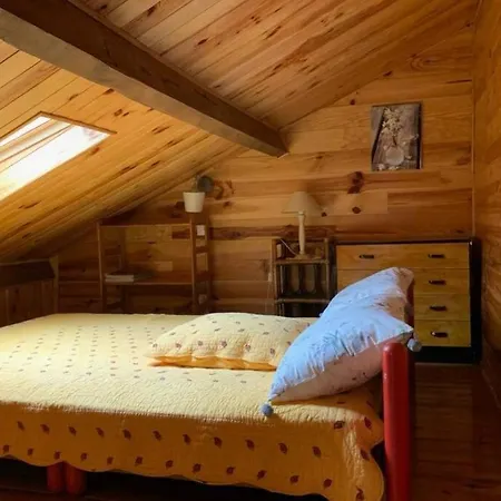 בית נופש Basia, - Centre , Quartier Historique Sanctuaires A 7 Min A Pied לורדה