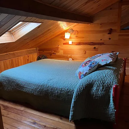 Basia, - Centre , Quartier Historique Sanctuaires A 7 Min A Pied Lurdy