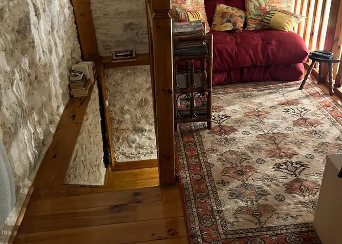 Basia, - Centre , Quartier Historique Sanctuaires A 7 Min A Pied Lourdes